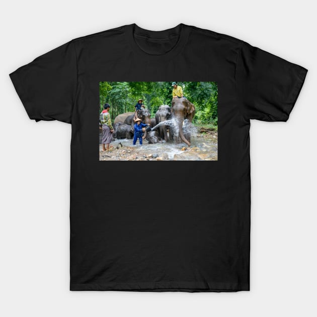 Morning Ablutions 1 T-Shirt by fotoWerner